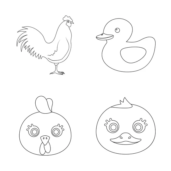 Isolated object of funny and poultry symbol. Set of funny and farming vector icon for stock. — Stock Vector