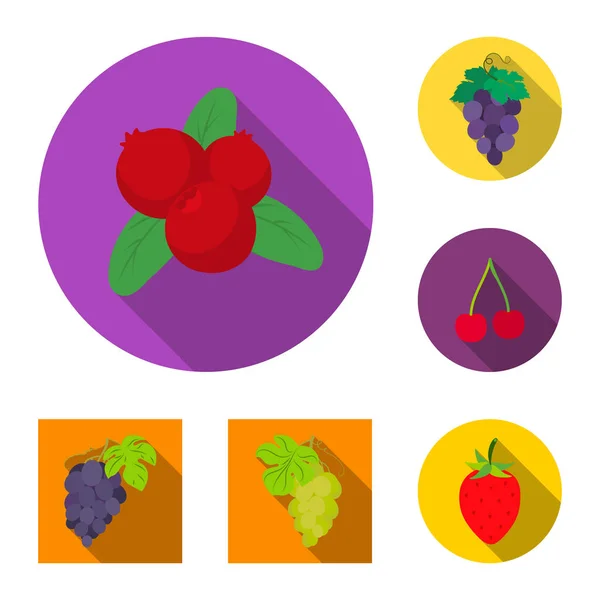 Векторная иллюстрация иконы ягод и фруктов. Набор векторных иконок ягод и красных ягод на складе . — стоковый вектор