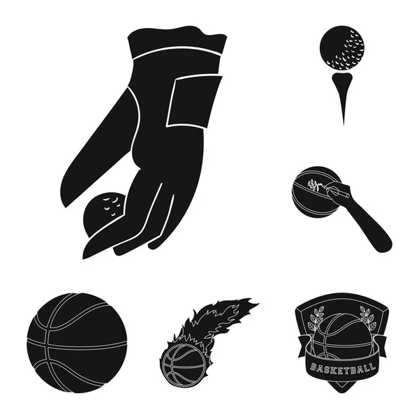 Illustration vectorielle du symbole du ballon et du football. Ensemble de symbole de stock de ballon et de basket pour le web . — Image vectorielle