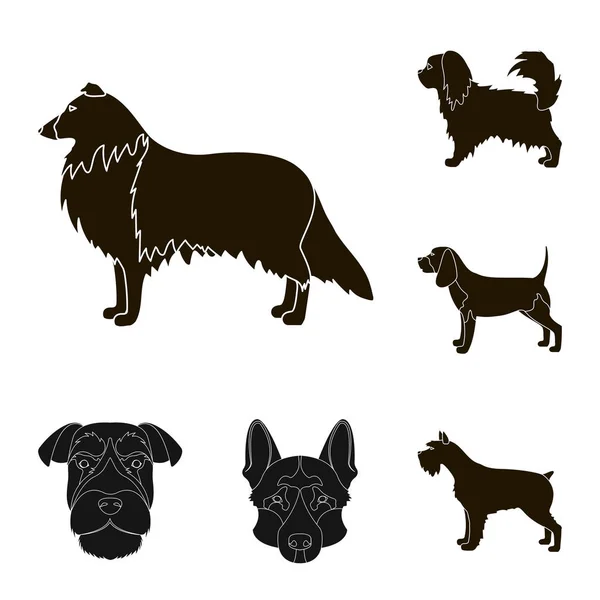 Design vetorial do ícone bonito e filhote de cachorro. Conjunto de ícone de vetor bonito e animal para estoque . — Vetor de Stock