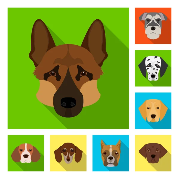 Diseño vectorial del logotipo lindo y cachorro. Colección de lindo y animal icono de vectores para stock . — Vector de stock