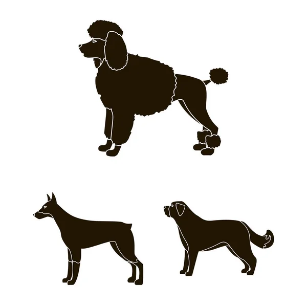 Objeto aislado de lindo y cachorro icono. Colección de lindo y animal símbolo de stock para la web . — Vector de stock