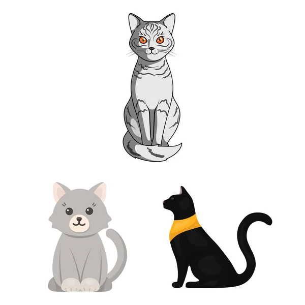 Vector ontwerp van pet en sphynx teken. Collectie van huisdier en leuke aandelensymbool voor web. — Stockvector