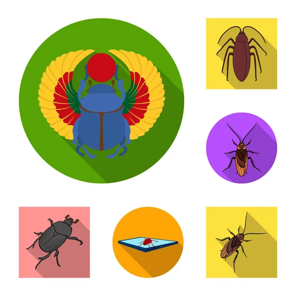 Vektorový design hmyzu a Švábí znamení. Sada hmyzu a halloween vektorové ikony pro stock. — Stockový vektor