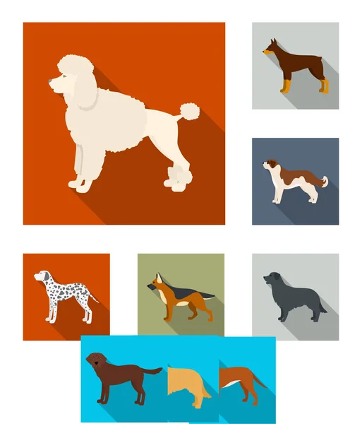 Ilustración vectorial del logotipo lindo y cachorro. Colección de lindo y animal símbolo de stock para la web . — Vector de stock