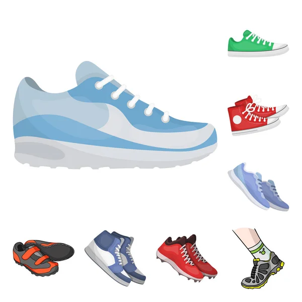 Ilustración vectorial de zapato y símbolo deportivo. Set de zapato y stock de fitness símbolo para web . — Vector de stock