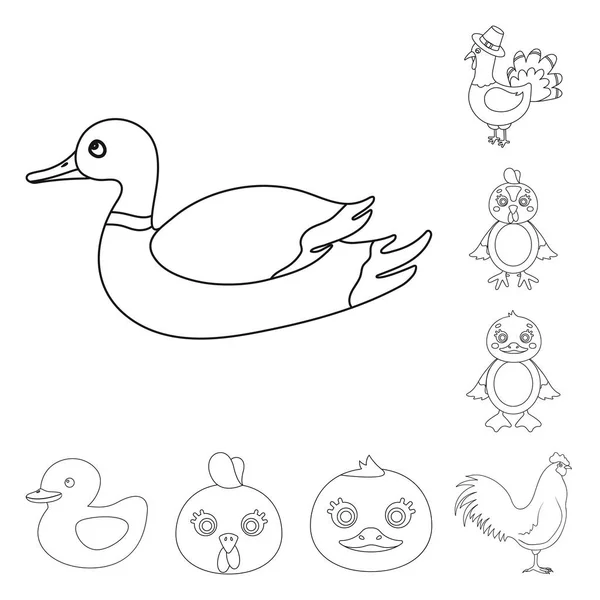 Diseño vectorial de símbolo divertido y avícola. Conjunto de icono de vector divertido y agrícola para stock . — Vector de stock