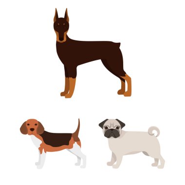 Şirin izole nesnesini ve kutsal kişilerin resmi. Şirin topluluğu ve hisse senedi için vektör simgesi.