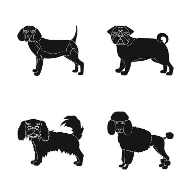 Sevimli vektör tasarımı ve logosu. Sevimli dizi ve hisse senedi için vektör simgesi.