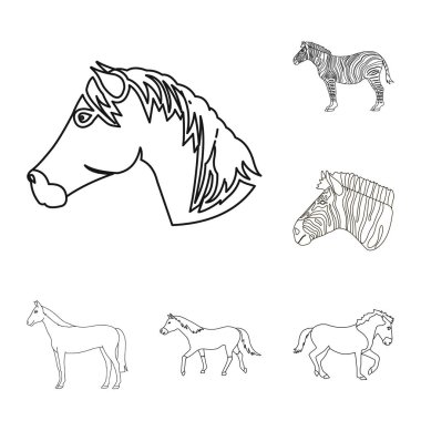 Tırıs ve koşma simge vektör tasarımı. Tırıs ve clipart hisse senedi simgesi için web topluluğu.