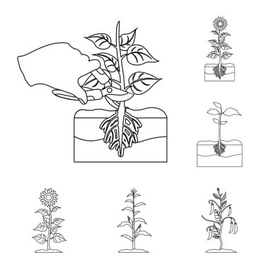 Bitki ve fasulye logosu yalıtılmış nesne. Hisse senedi için bitki ve işlem vektör simge topluluğu.