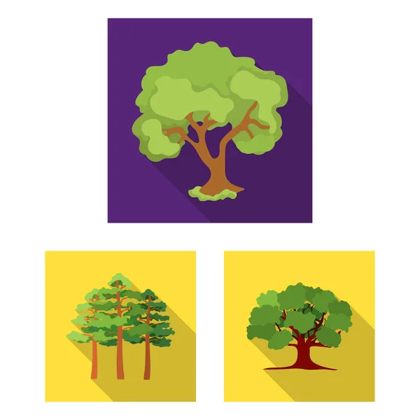 Isolated object of tree  and forest symbol. Set of tree  and green vector icon for stock. — Stock Vector