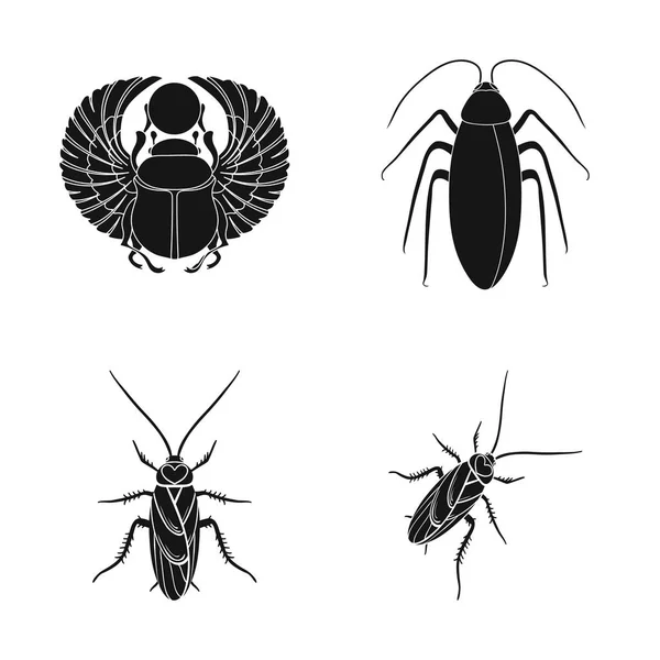 Векторная конструкция знака насекомого и жука. Набор векторных иллюстраций насекомых и Хэллоуина . — стоковый вектор