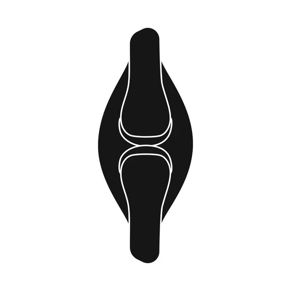 Projeto vetorial de pesquisa e logotipo do laboratório. Conjunto de pesquisa e símbolo de estoque de órgãos para web . —  Vetores de Stock