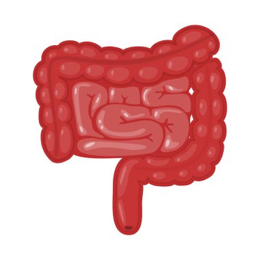 Anatomi ve organ simge vektör Illustration. Anatomi ve tıbbi hisse senedi vektör çizim.
