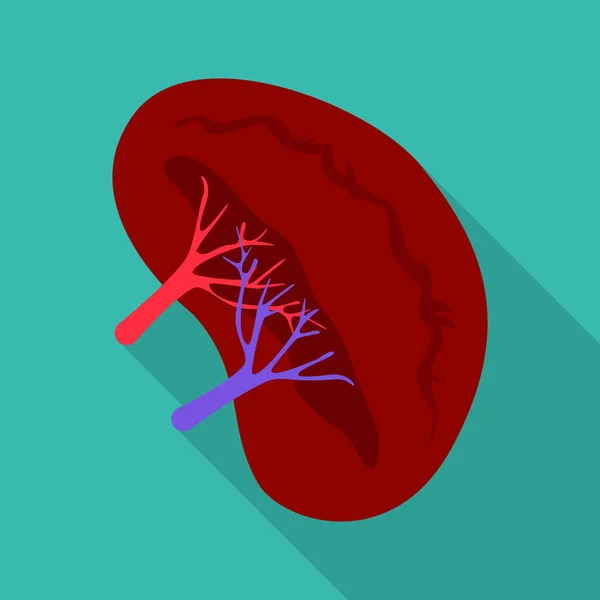 Objeto aislado de símbolo humano y de salud. Colección de material humano y científico símbolo para la web . — Vector de stock