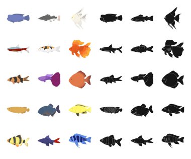 Balık çizgi film, siyah simgeler set koleksiyonu tasarım için farklı türde. Deniz ve akvaryum balık sembol stok web illüstrasyon vektör.