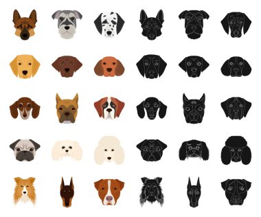 Köpek ırkları set koleksiyonu tasarım için çizgi film, siyah simgeler. Bir köpek vektör simge stok web illüstrasyon namlu.