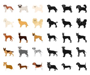 Köpek ırkları set koleksiyonu tasarım için çizgi film, siyah simgeler. Köpek evde beslenen hayvan vektör simge stok web çizim.