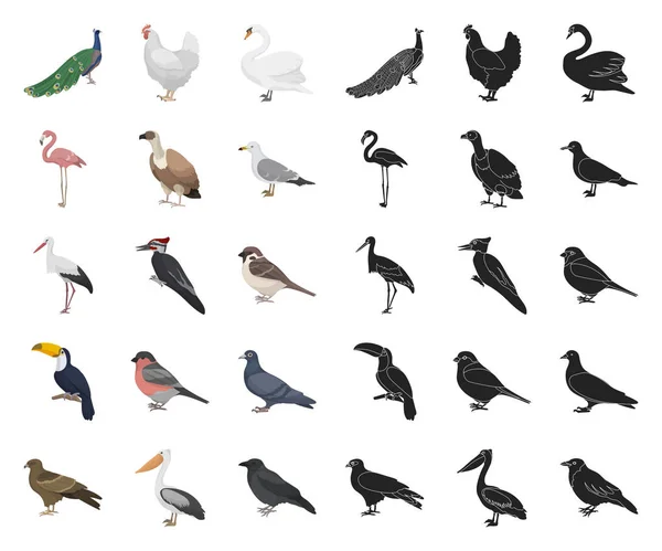 Tipos Dibujos Animados Aves Iconos Negros Colección Conjuntos Para Diseño — Vector de stock