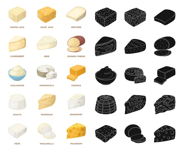 Différents types de dessin animé au fromage, icônes noires dans la collection de set pour le design.Milk produit fromage vecteur symbole illustration web stock . — Image vectorielle