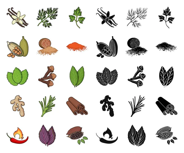 Cartone animato di erbe e spezie, icone nere nella collezione di set per il design. diversi tipi di condimenti simbolo vettore stock web illustrazione . — Vettoriale Stock