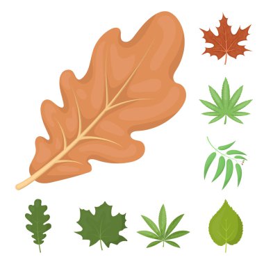 Vegan ve organik işareti yalıtılmış nesne. Vegan ve hisse senedi için taze vektör ikon koleksiyonu.