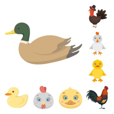 Komik ve kümes hayvanları simge vektör Illustration. Komik ve tarım hisse senedi simgesi için web topluluğu.