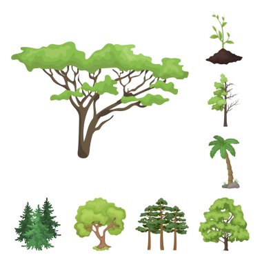 Ağaç ve orman sembolü yalıtılmış nesne. Ağaç ve yeşil hisse senedi vektör çizim.