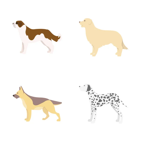Objeto aislado del logotipo lindo y cachorro. Colección de lindo y animal símbolo de stock para la web . — Vector de stock