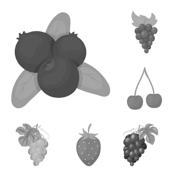 Vektorillustration av bär och frukt symbol. Uppsättning av berry och redberry lager vektorillustration. — Stock vektor