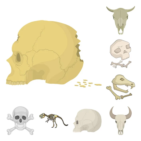 Objeto Aislado Esqueleto Logotipo Del Personaje Conjunto Esqueleto Icono Del — Archivo Imágenes Vectoriales