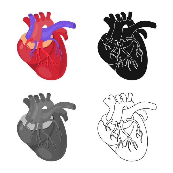 Elkülönített objektum a biológia és a tudományos logó. A biológia és a laboratóriumi tőzsdei szimbólum a web beállítása. — Stock Vector