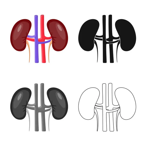 Vektorillustration av biologi och vetenskapliga symbol. Samling av biologi och laboratorium aktiesymbol för webben. — Stock vektor