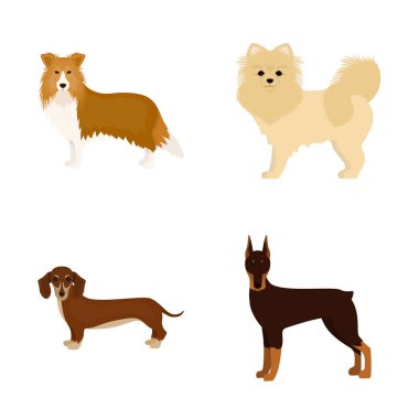 Sevimli vektör çizim ve işareti. Şirin ve hisse senedi vektör çizim seti.