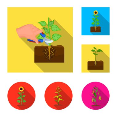 Bitki ve fasulye simge vektör tasarımı. Hisse senedi için bitki ve işlem vektör simge topluluğu.