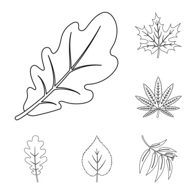 Vegan ve organik simge vektör tasarımı. Vegan ve web için taze hisse senedi simgesi.