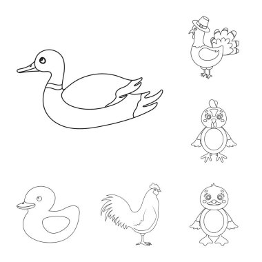 Komik ve kümes hayvanları işareti yalıtılmış nesne. Komik ve tarım hisse senedi vektör çizim koleksiyonu.