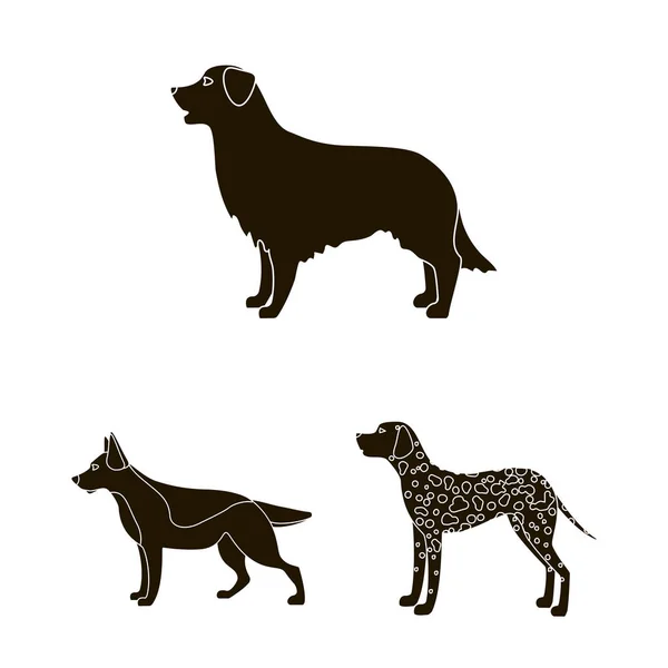 Ilustração vetorial do logotipo bonito e filhote de cachorro. Coleção de ícone de vetor bonito e animal para estoque . — Vetor de Stock