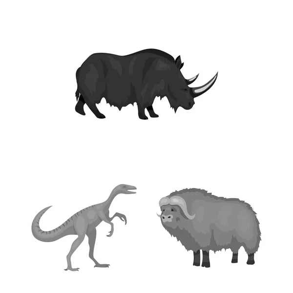 Vektorillustration von Tier und Charaktersymbol. Animal und Old Stock Vector Illustration. — Stockvektor