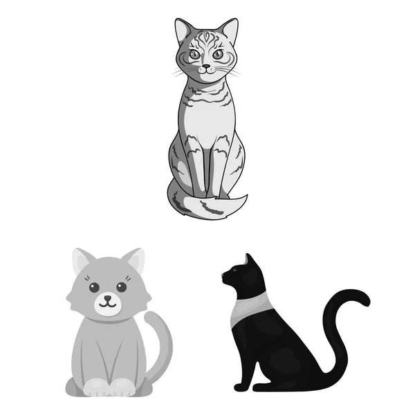 Diseño vectorial del logotipo de mascotas y esfinges. Colección de mascotas y divertido símbolo de stock para la web . — Archivo Imágenes Vectoriales