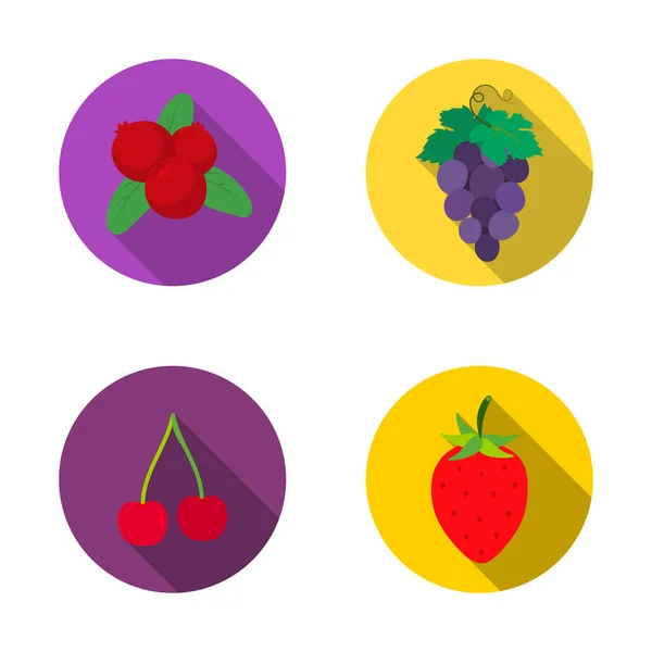 Изолированный объект ягодного и фруктового знака. Набор векторных иконок ягод и красных ягод на складе . — стоковый вектор