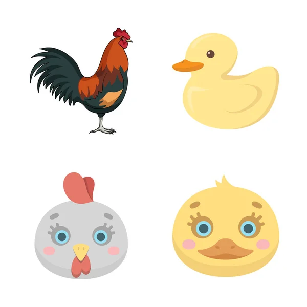 Isolated object of funny and poultry sign. Set of funny and farming vector icon for stock. — Stock Vector