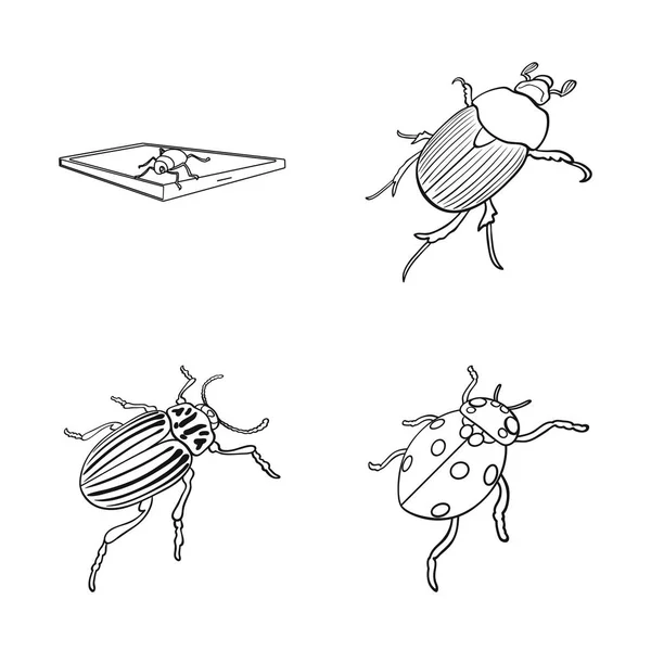 Векторная иллюстрация знака насекомого и жука. Коллекция насекомых и символ Хэллоуина для веб-сайтов . — стоковый вектор