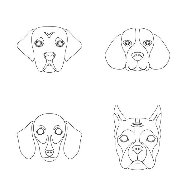 Ilustración vectorial de lindo y cachorro símbolo. Conjunto de lindo y animal stock símbolo para web . — Vector de stock