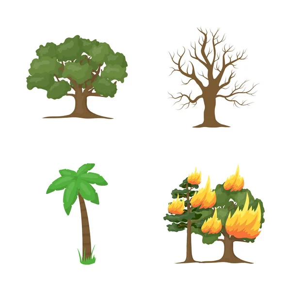 Векторний дизайн дерева та символу лісу. Набір символів дерева і зеленого пакунка для Інтернету . — стоковий вектор