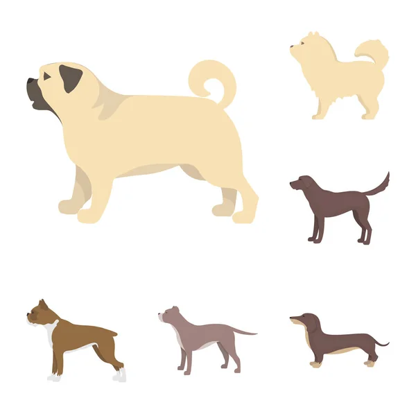 Diseño vectorial de lindo y cachorro icono. Colección de lindo y animal símbolo de stock para la web . — Vector de stock