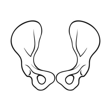 Kemik ve iskelet simge vektör tasarımı. Kemik ve web için insan hisse senedi simgesi.