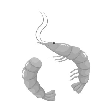 Gıda ve deniz simgesi vektör tasarımı. Web için gıda ve sağlıklı stok sembolü seti.