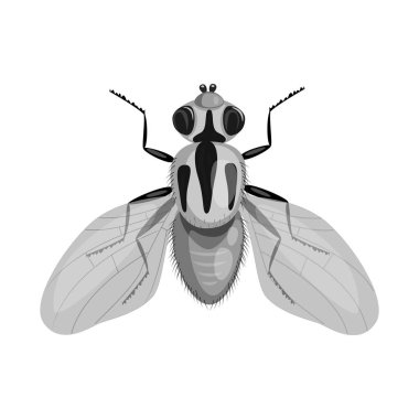 Vektör çizim buğday ve Mısır sembolü. Web için buğday ve hasat hisse senedi simgesi kümesi.